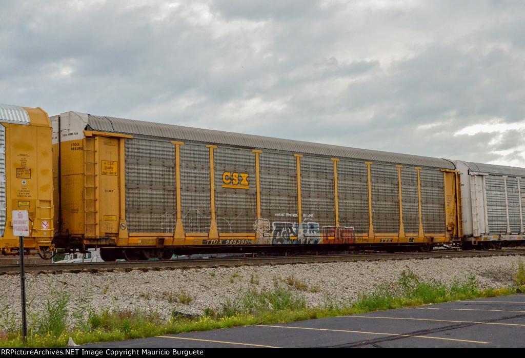 TTGX CSX Autorack